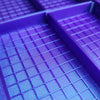 Sparkly Purple rhinestone rhinestone tray from the tumbler universe
