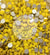 SolidYellow Glass Rhinestones