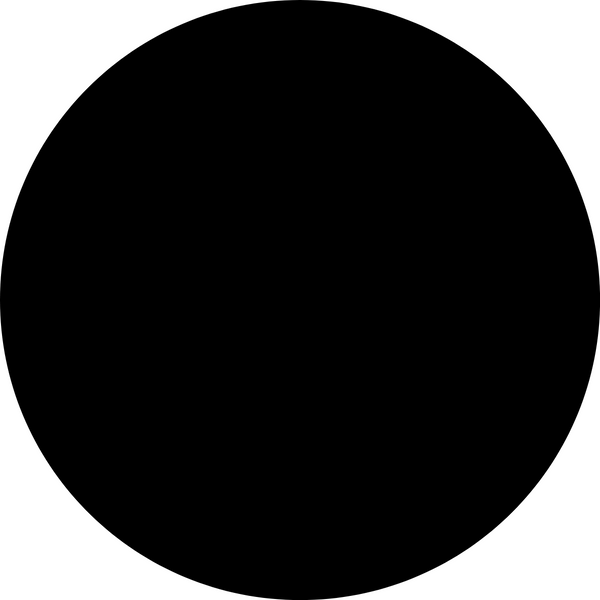 Scattered Gems Flatback Flipper